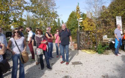 Unterwegs mit den Farben des Herbstes