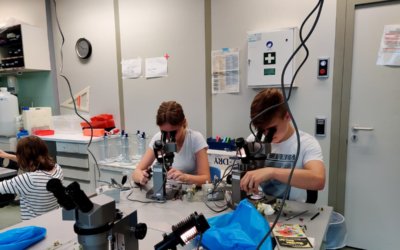 MESgoesfuture – Erster Umwelttag an der MES