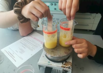 umwelttag-2019_6