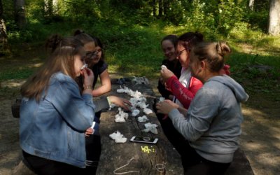 Den Wald als Bildungsraum erleben