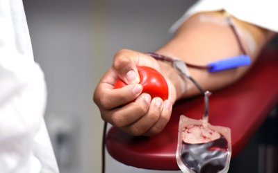 175 junge Menschen spenden zum ersten Mal Blut