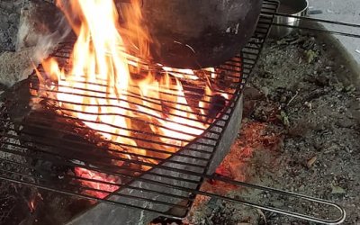 Waldtag der Klasse 2BFH2