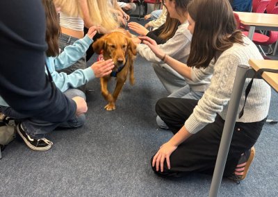 therapiehunde_2_2026