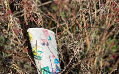 Ist das Kunst – oder kann das weg?