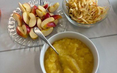 Besuch von BeKi – Bewusste Kinderernährung in der BFSAID1